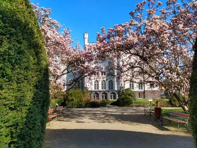 Arboretum w Kórniku - Instytut Dendrologii PAN